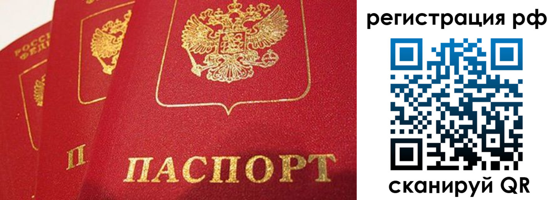прописка поиск в Каргате